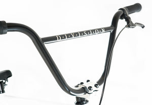 Division Reark 20" BMX (Blue/White Fade)