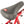 Division Blitzer 20