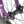 Division Blitzer 14