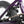 Division Blitzer 16