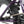 Division Blitzer 18