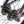 Division Blitzer 20