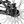 WeThePeople Havoc 22" BMX (Glossy Black)