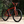Fairdale TAJ 27.5