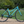 Fairdale Lookfar Step-Thru 700c Bike 2023 (Gloss Surf Blue)