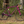 FAIRDALE 700c Weekender Nomad Bike