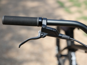 FAIRDALE 26" Hareraiser FX Bike
