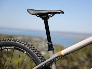 FAIRDALE 29" Elevator Bike