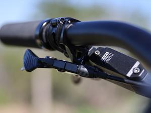 FAIRDALE 29" Elevator Bike