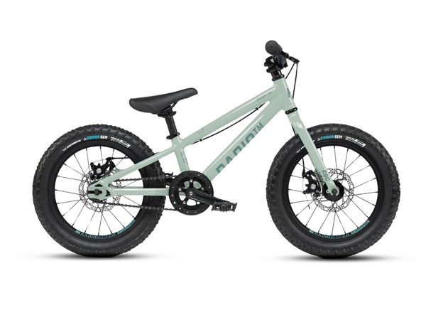 RADIO 16" Zuma Bike