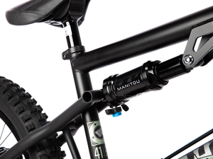 WETHEPEOPLE 20" The Swampmaster Bike