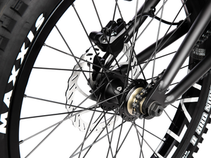 WETHEPEOPLE 20" The Swampmaster Bike