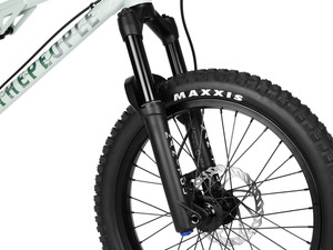 WETHEPEOPLE 20" The Swampmaster Bike