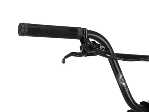 WETHEPEOPLE 20" The Swampmaster Bike