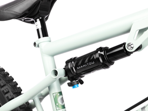 WETHEPEOPLE 20" The Swampmaster Bike
