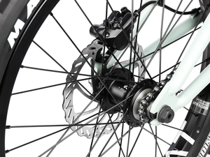 WETHEPEOPLE 20" The Swampmaster Bike