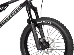WETHEPEOPLE 20" The Swampmaster Bike