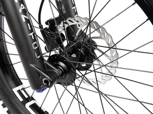 WETHEPEOPLE 20" The Swampmaster Bike