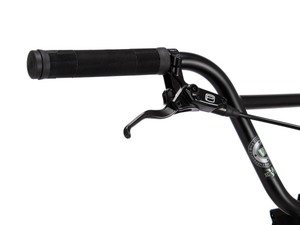 WETHEPEOPLE 20" The Swampmaster Bike