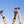 LARGE SIZES ONLY Chuffed Wanderer Skates - JACARANDA PURPLE