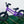 Colony BMX Horizon Alloy Balance Bike 12