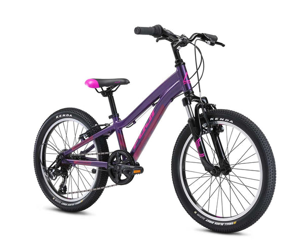 Fuji Dynamite 20" Bike (Purple)
