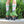 WANDERER Chuffed Skates - OLIVE GREEN