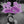 Brunny Hardcore P.O. Block 3056 Version 1.2 King Cobra