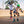 Powerslide Phuzion Stargaze Black Adjustable Inline Skates