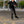 Powerslide Imperial One 80 Black Yellow Inline Skates