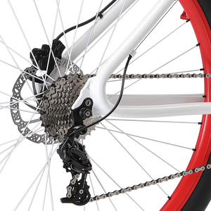 SE Bikes Fast Ripper 29" Bike (Mike Buff)