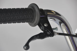 Skyway TA Replica 20" BMX