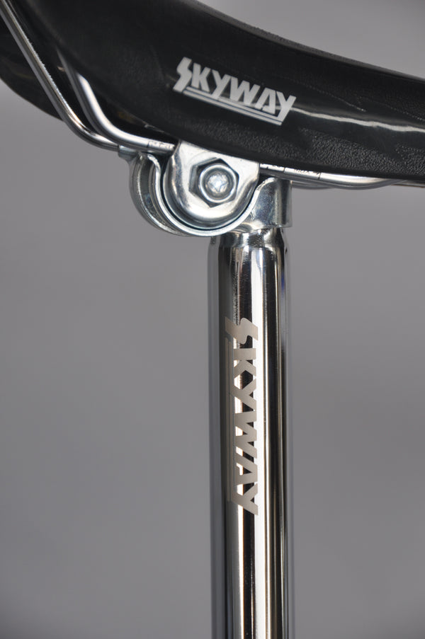 Skyway TA Replica 20" BMX