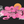 Brunny P.O Blocks 3056 - Pink Python