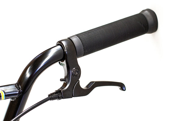 Division Blitzer 20" BMX (Apple Green)
