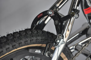 Skyway TA Replica 20" BMX
