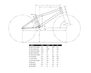 GT Pro Performer Heritage 29" Bike