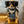 Pit Viper - The Black Ops 2000 Sunglasses