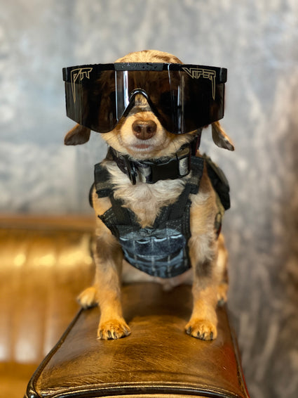 Pit Viper - The Black Ops 2000 Sunglasses
