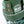 Rio Roller Skates - Mayhem 2 (Green)