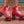 Chuffed Wanderer Roller Skates (Watermelon)