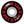 Darkstar Magic Carpet Complete Skateboard (7.375”)