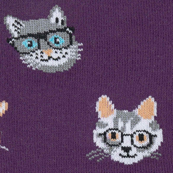 Sock it to me Smarty cat