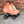 Chuffed Wanderer Roller Skates (Peach Pink)