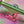 Impala Pip and Pop skateboard - 8.0” (Sherbet Island)