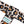 Derby Laces Skate Gear Leash 54 inch (137 cm) Leopard