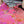 Impala Pip and Pop Skateboard - 7.75” (Baby Mushroom)